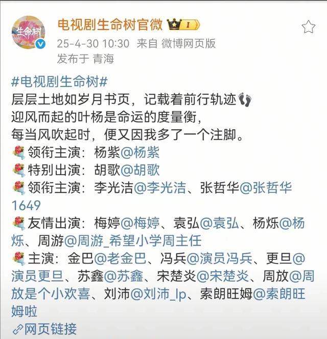 杨紫作品对比