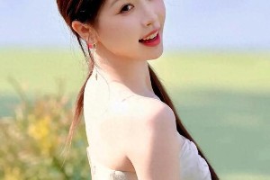 精选图片展示：253304至253306系列