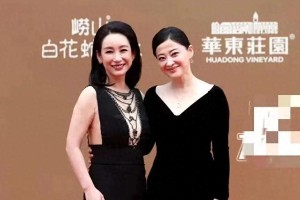 章子怡华表奖黑色战袍：高级感红毯造型解析