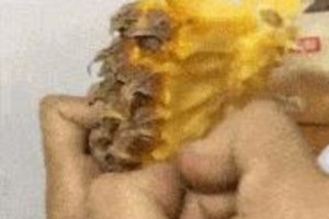 搞笑生活趣事集锦：从徒手吃菠萝到明星写真