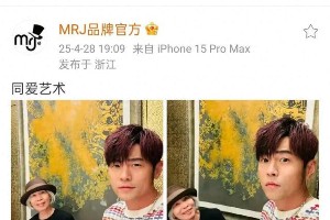 周杰伦与母亲叶惠美温馨合照 演唱会480元票看大屏引热议