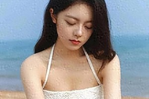 精彩图片展示：三张精选视觉盛宴